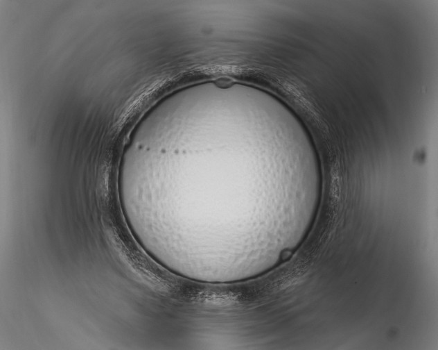 X0000116110491200912071326