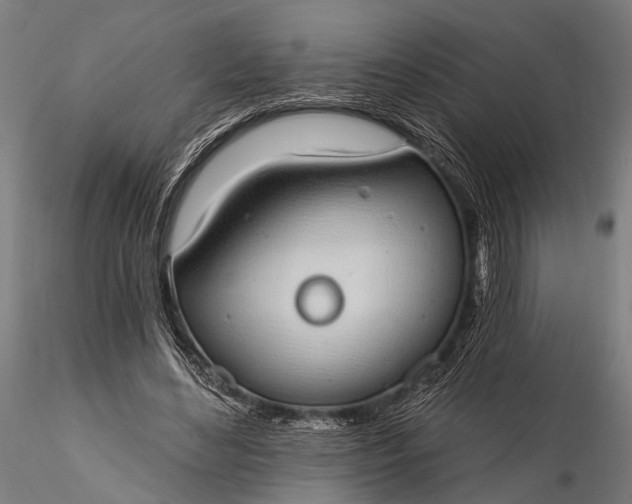 X0000116110492200912071326