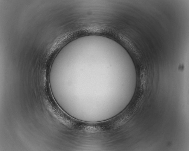 X0000116110494200912071326