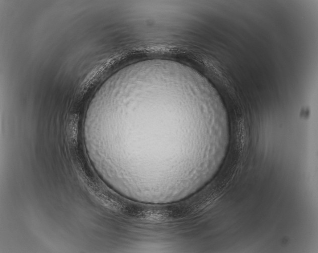 X0000116110495200912071326