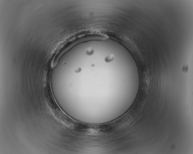 X0000116110496200912071326