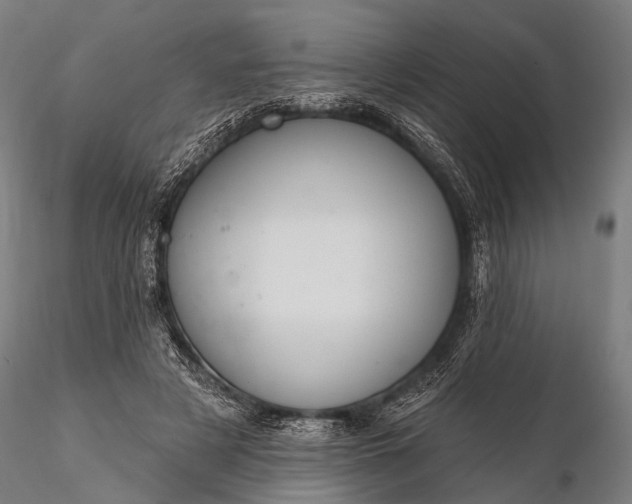 X0000116110497200912071326