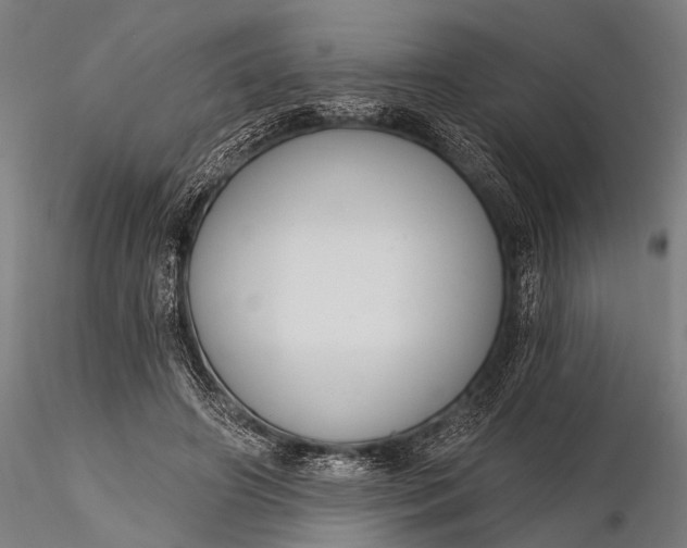 X0000116110498200912071326