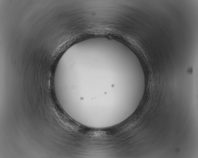 X0000116110501200912071326