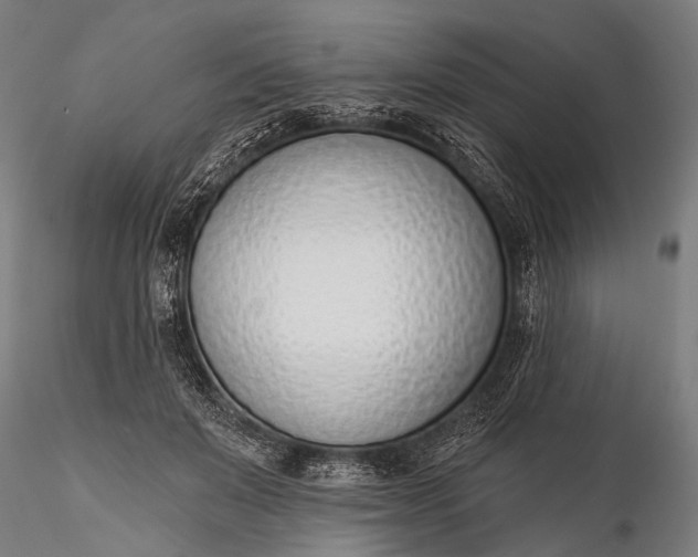 X0000116110503200912071326