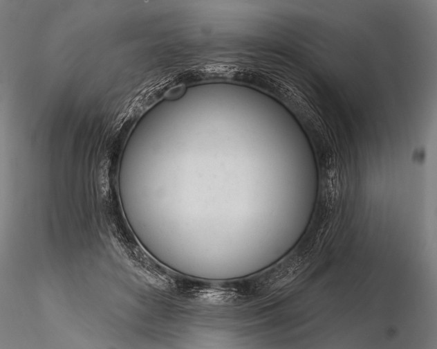 X0000116110504200912071326