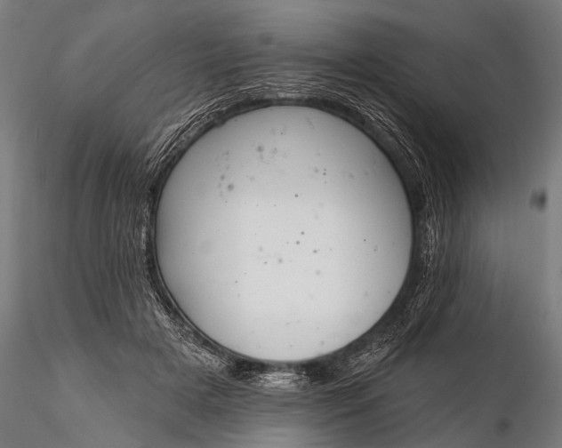 X0000116110505200912071326