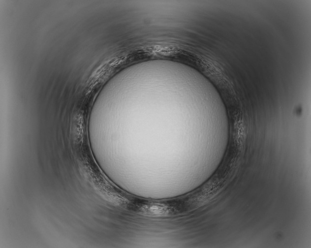 X0000116110506200912071325