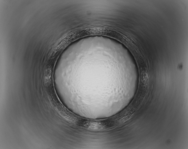 X0000116110507200912071325