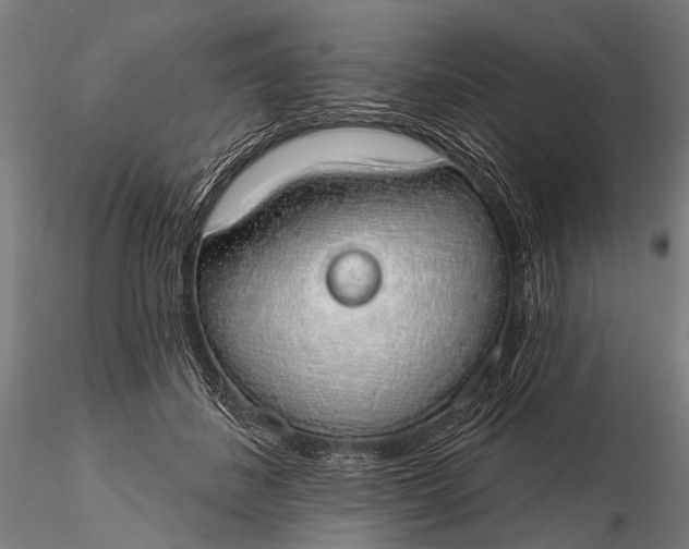 X0000116110508200912071325