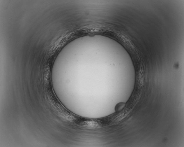 X0000116110509200912071325