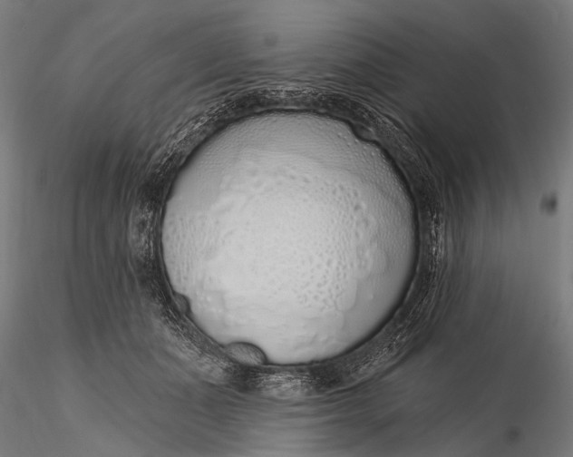 X0000116110511200912071325