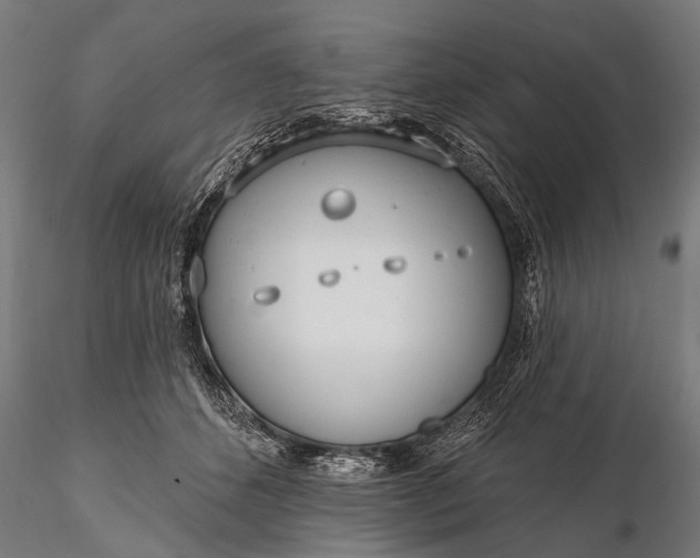 X0000116110512200912071325