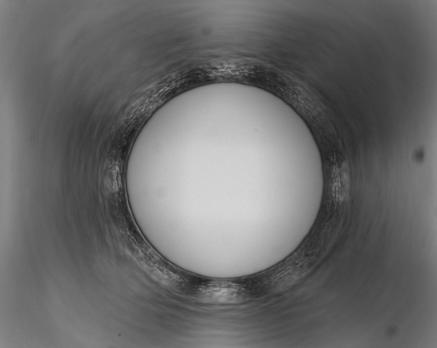 X0000116110514200912071325