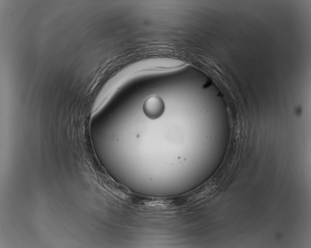 X0000116110516200912071325