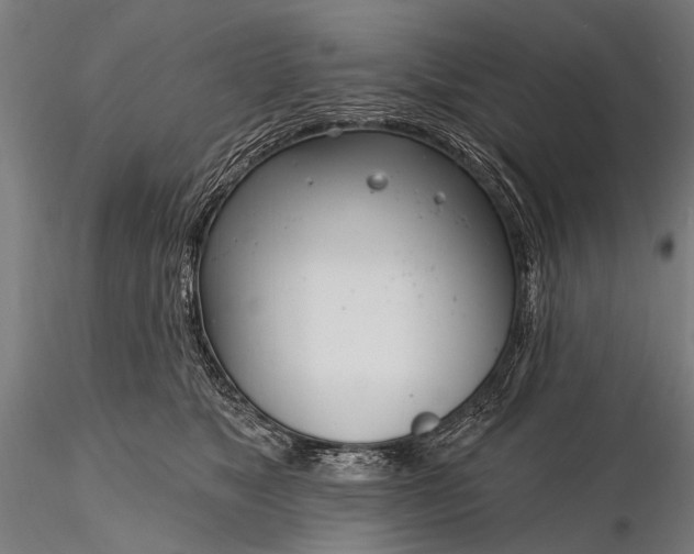 X0000116110517200912071325