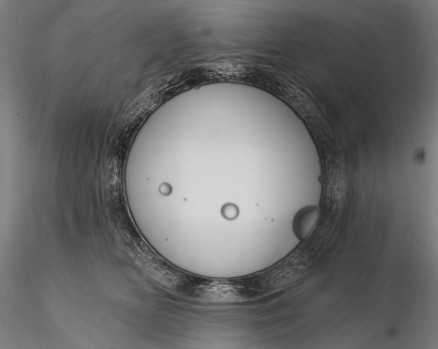 X0000116110518200912071325