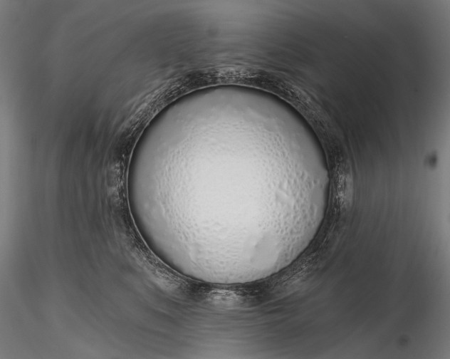 X0000116110519200912071325