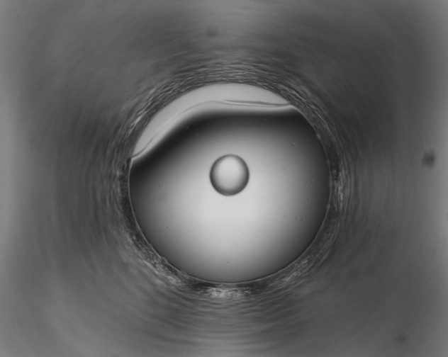 X0000116110520200912071325