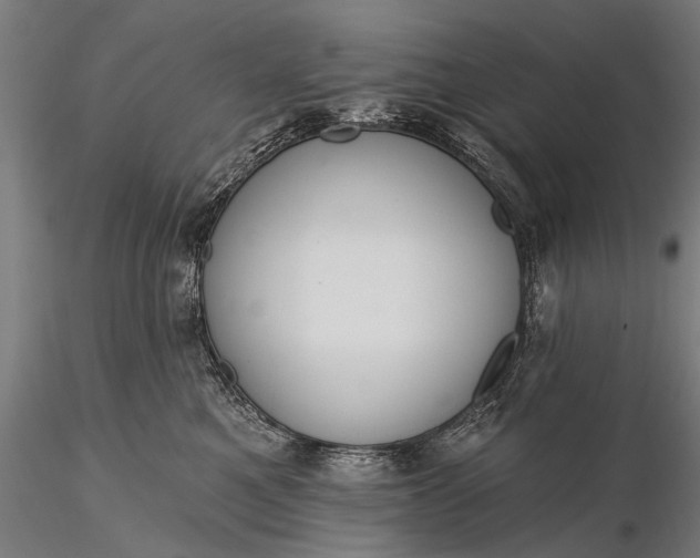 X0000116110521200912071325