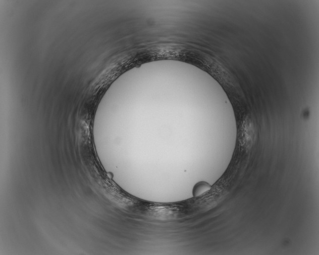 X0000116110522200912071325