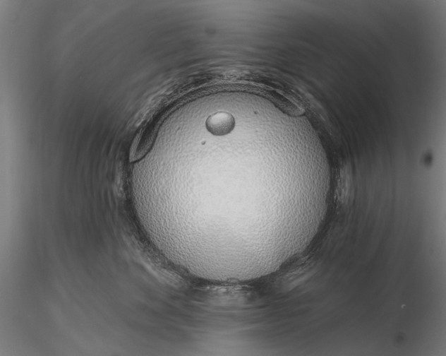 X0000116110524200912071325