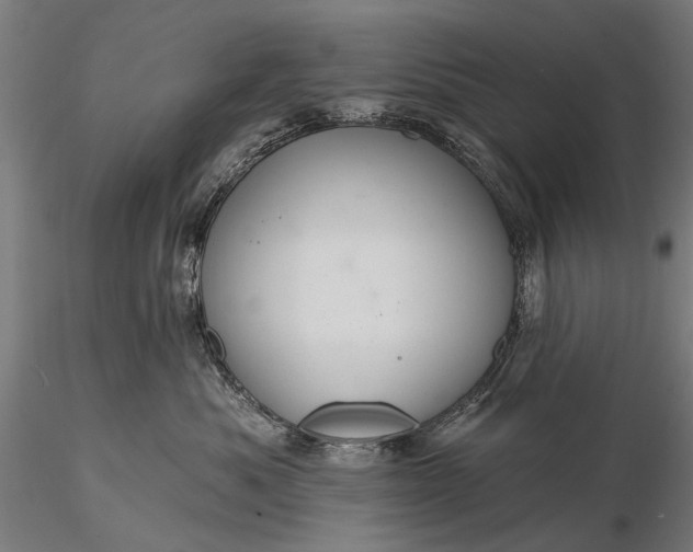 X0000116110525200912071325