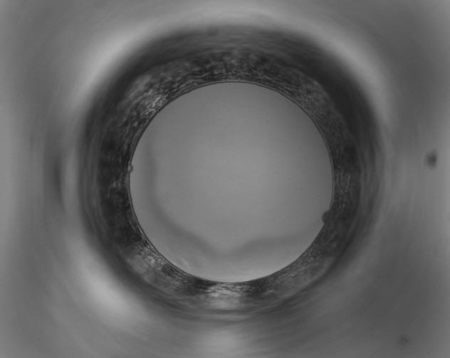 X0000116110526200912071325