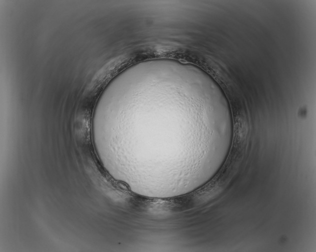 X0000116110527200912071325