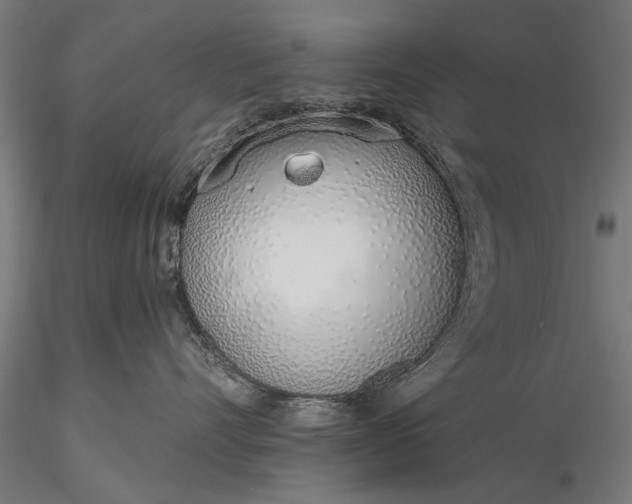 X0000116110528200912071325