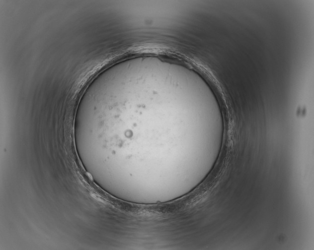 X0000116110529200912071325