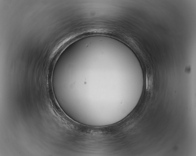 X0000116110531200912071325