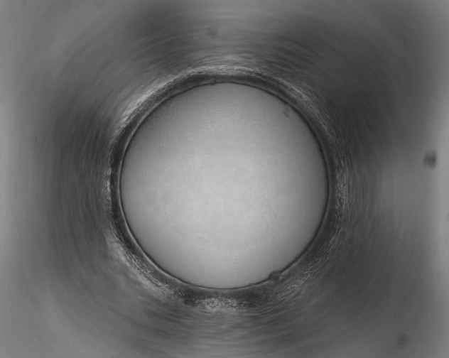 X0000116110535200912071325