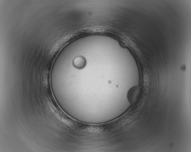 X0000116110537200912071325