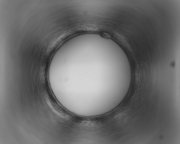 X0000116110538200912071325