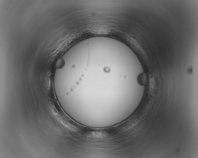 X0000116110541200912071325