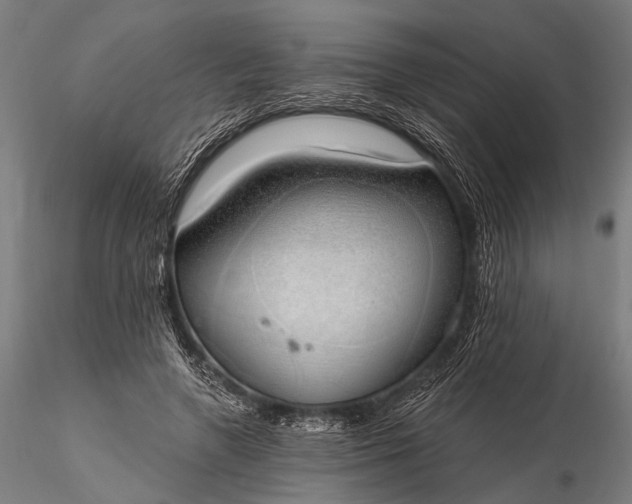 X0000116110546200912071325