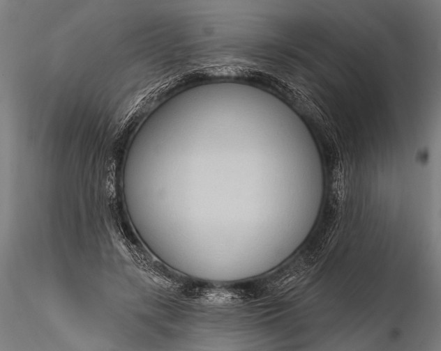 X0000116110547200912071325