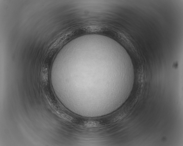 X0000116110549200912071325