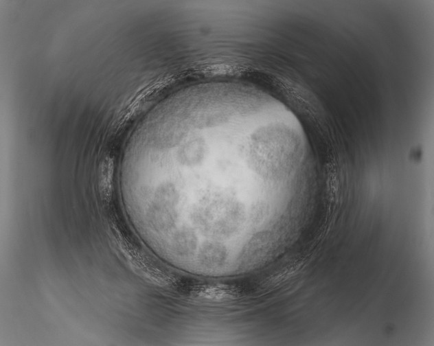 X0000116110550200912071325