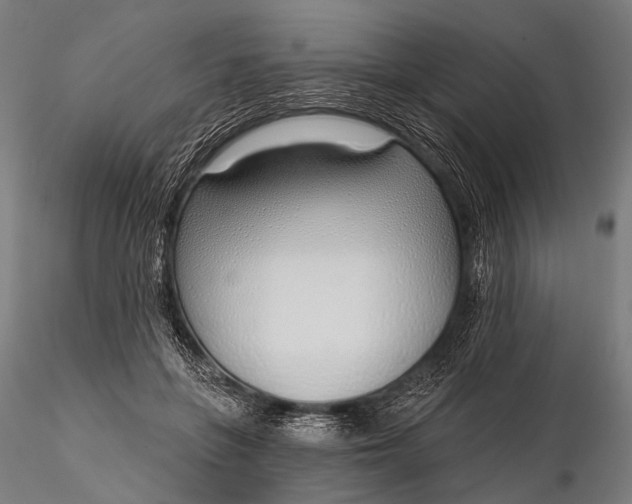 X0000116110551200912071325