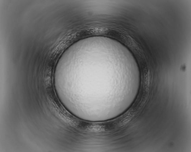 X0000116110553200912071325