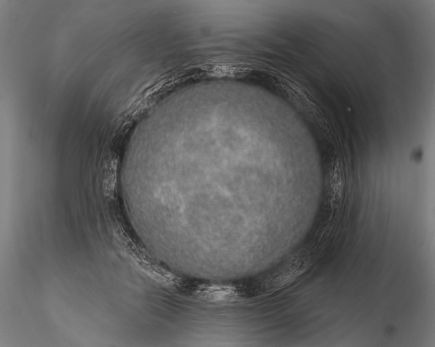 X0000116110554200912071325