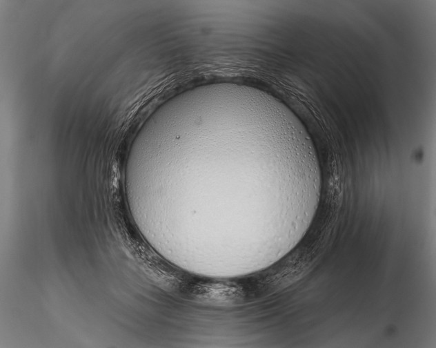 X0000116110555200912071325