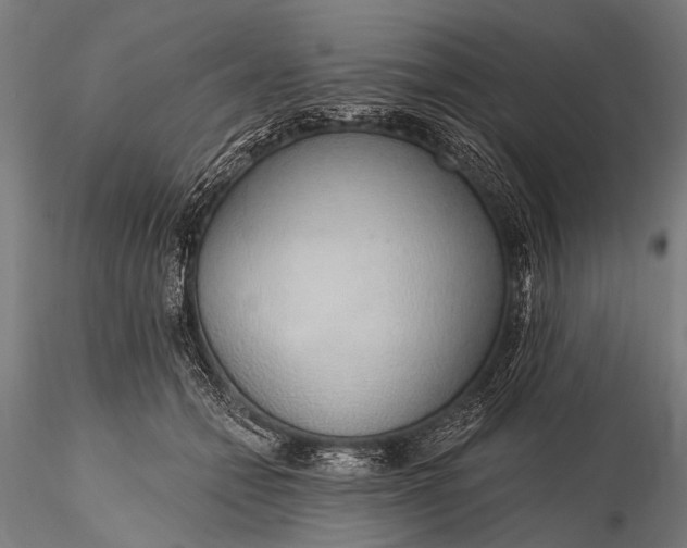 X0000116110558200912071325