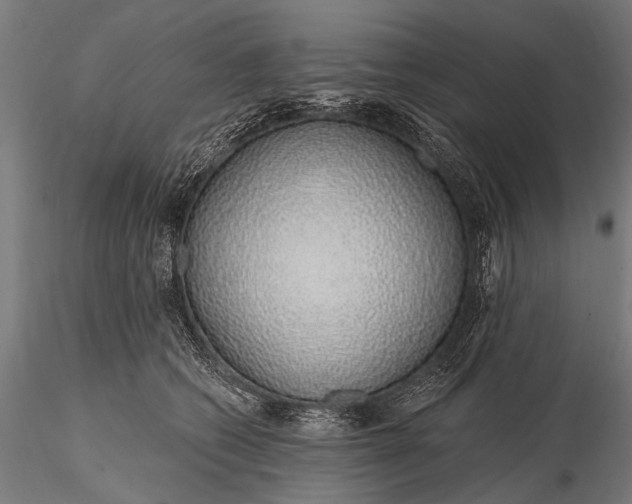 X0000116110562200912071325