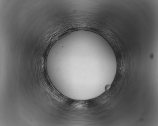 X0000116110563200912071325