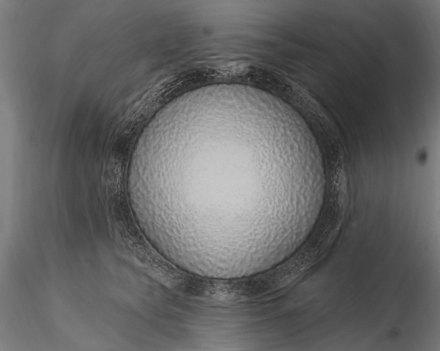 X0000116110565200912071325