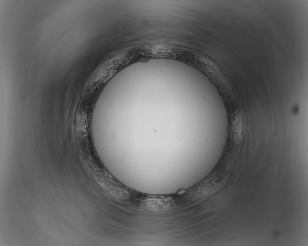 X0000116110571200912071325