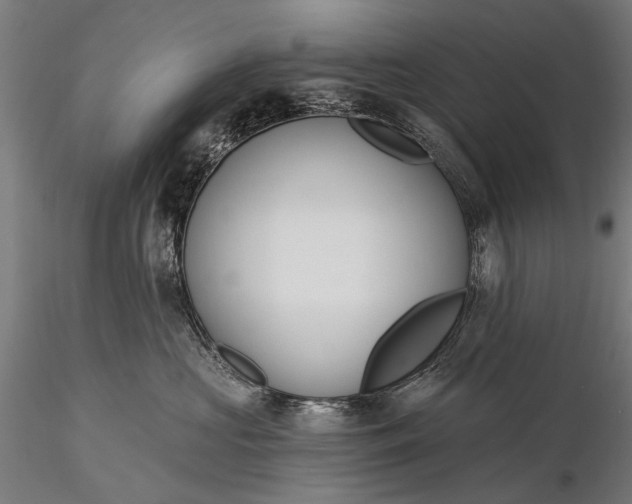 X0000116110573200912071325